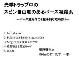 光学トラップ中の スピン自由度のあるボース凝縮系