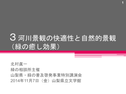 「河川の快適性と自然的景観(癒し効果）」ダウンロード