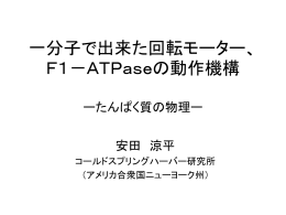 一分子で出来た回転モーター、F1－ATPaseの動作機構 ー