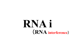 RNA干渉