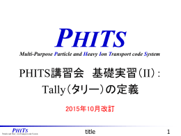 基礎実習2：Tally（タリー）の定義