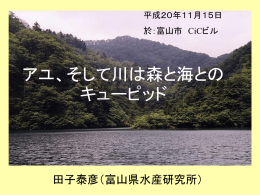 発表資料（パワーポイント）