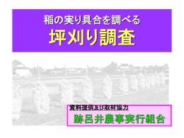 稲の実り具合を調べる 坪刈り調査