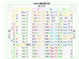 Percent amino acid identity in the A/B domain of CAR and PXR