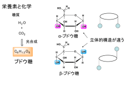 パワーポイント版