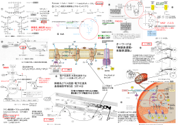 配布プリント5
