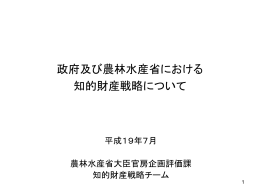 知的財産戦略（概要）