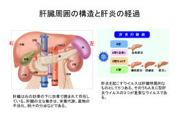Micro Slide 4
