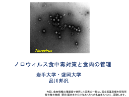 PPT：5291KB