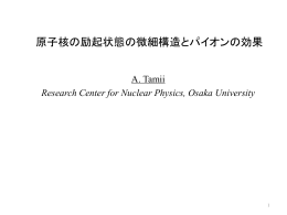 原子核の励起状態の微細構造とパイオンの効果
