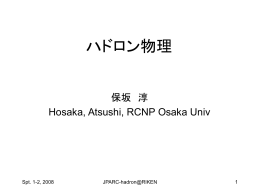 ハドロン物理