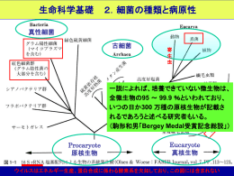 第2回