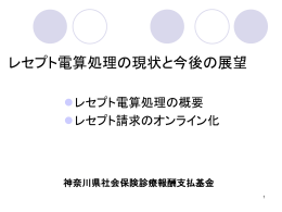 レセプト電算処理システム（調剤）