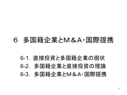 6 多国籍企業とM＆A・国際提携