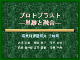 プロトプラストの単離と融合 - すいかサーバー (suika.fam.cx)