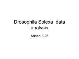 Drosophila Solexa data analysis