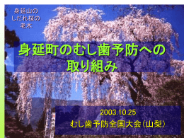 「身延町のむし歯予防への取り組み」山内里央先生【pptスライド：838KB】