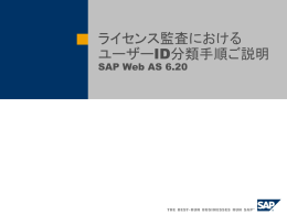 System Measurement Program SAP Basis Release 4.0B