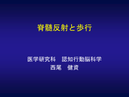 脊髄反射と歩行 - Shiketai of Legend --