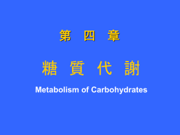 糖 代 谢