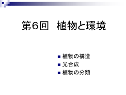 今週のスライド