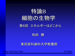第6回のpptファイル