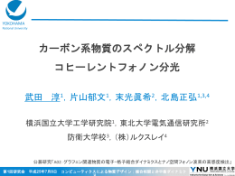 発表資料