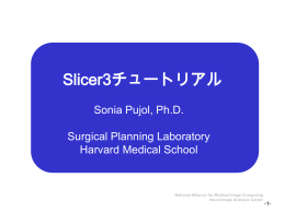 3D 表示 - National Alliance for Medical Image Computing