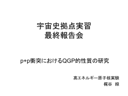 宇宙史拠点実習 最終報告会 - 高エネルギー原子核実験グループ