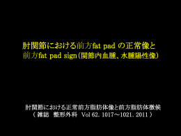肘関節における前方fat pad の正常像と