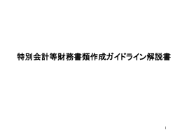 特別会計等財務書類作成ガイドライン解説書