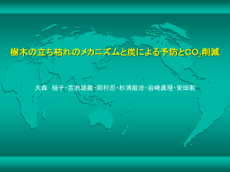 樹木の立ち枯れのメカニズムと炭による予防