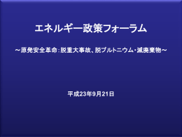 進行用PP - GCI 地球市民機構