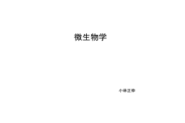 Micro Slide 1