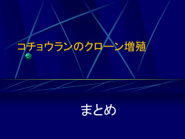 授業まとめ