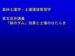 森林の水源涵養機能と緑のダム