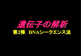 DNAシークエンス2
