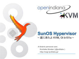 Scientific Linux 6.1 install on KVM