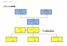 プロジェクト体制図