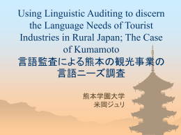 Using Linguistic Auditing to discern the Language Needs of Tourist