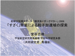 「すざく」衛星による粒子加速域の探索