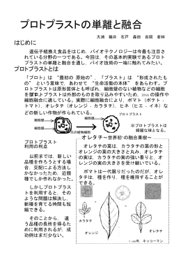 Microsoft PowerPoint - すいかサーバー (suika.fam.cx)