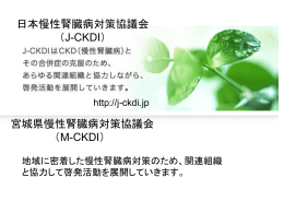 『新たな国民病「慢性腎臓病」』講演スライド(PPT:8558KB)