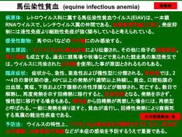 馬伝染性貧血