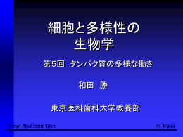 第5回講義pptファイル