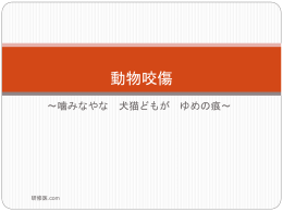 動物咬傷 へのリンク 噛まれたよ！