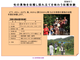 西海市における その他体験一覧