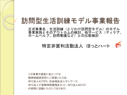 平成19年度 訪問型生活訓練モデル事業 報告書