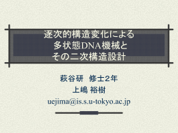 DNA分子の二次構造設計と 熱力学的解析