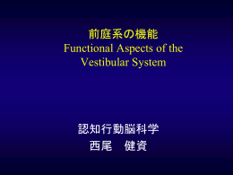 前庭系の機能